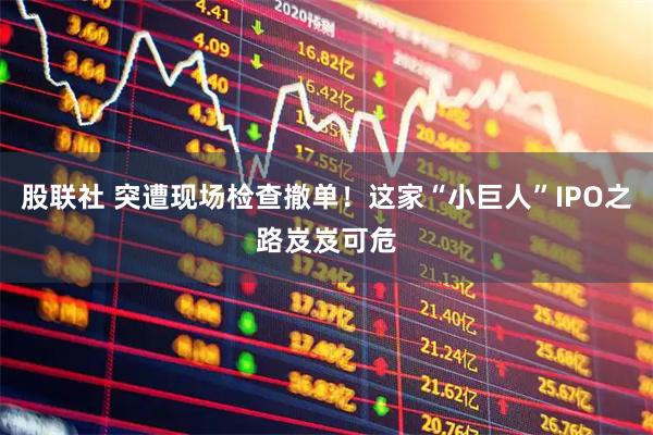 股联社 突遭现场检查撤单！这家“小巨人”IPO之路岌岌可危